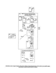 Carburetor Diagram and Parts List for 21T200 0110-0116 Briggs and Stratton Engine